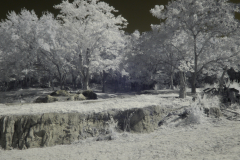 P1030164